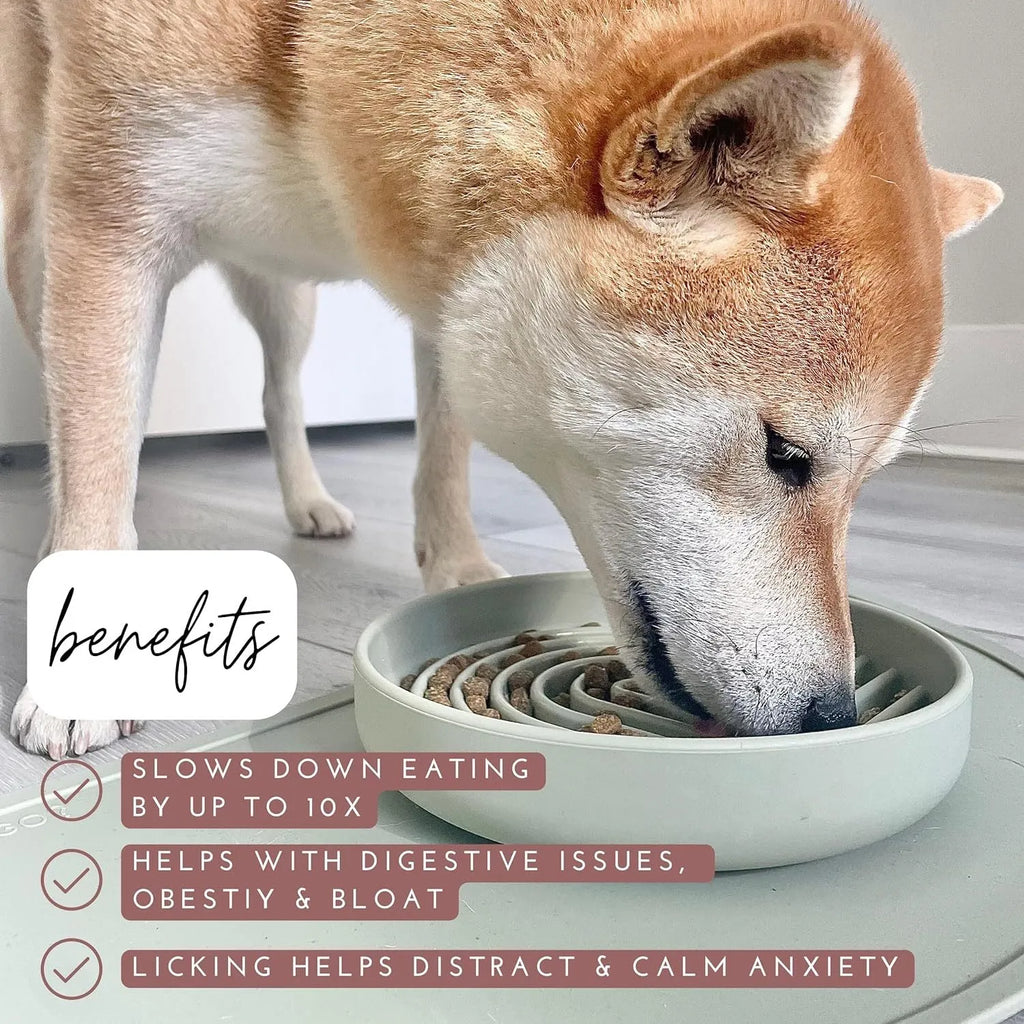 Silicone slow feeder bowl for dogs with ridges and nooks, available in beige, charcoal ash, gray blue, mango yellow, mustard green, or red.