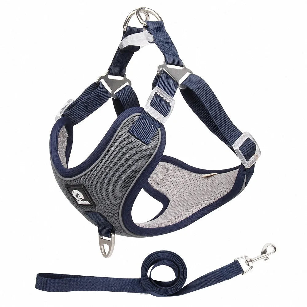 Adjustable mesh dog harness with reflective piping on small dog, showing chest and back straps