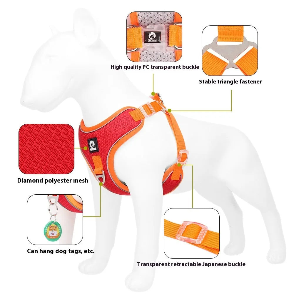 Adjustable mesh dog harness with reflective piping on small dog, showing chest and back straps