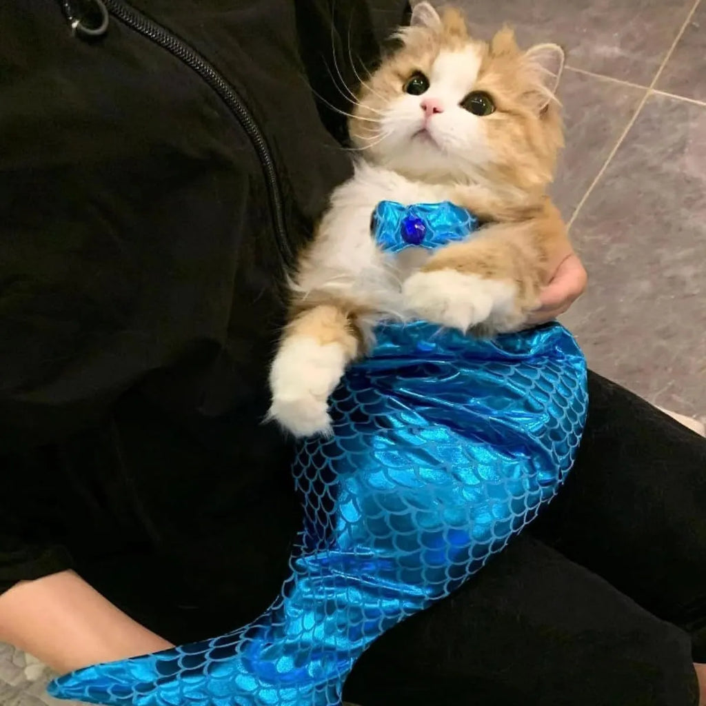 Blue pet mermaid costume with fishtail and elastic chest strap on a small cat