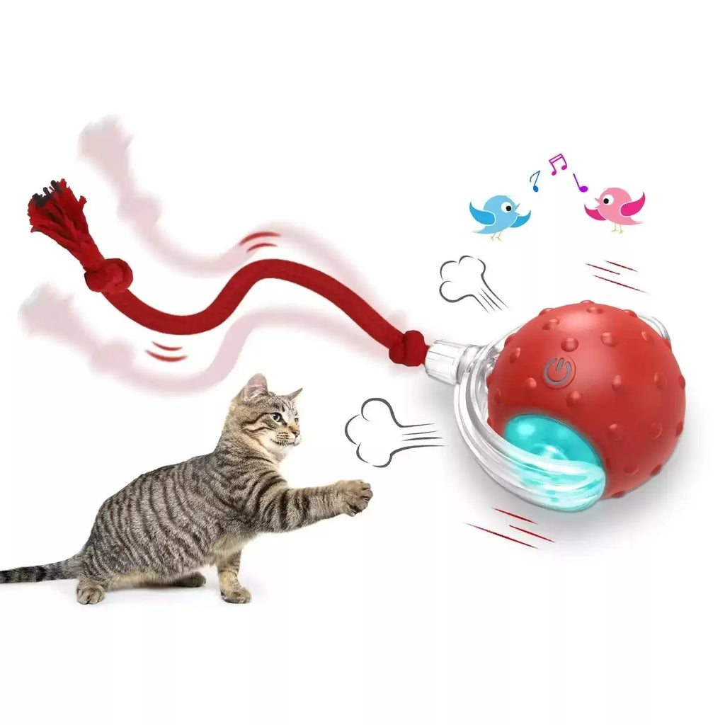A single bright red plastic interactive cat toy ball designed for rolling and chase play.