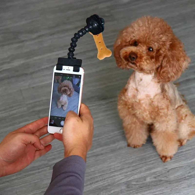 Black pet photography tool with rotating clip and snack holder for mobile phone cameras