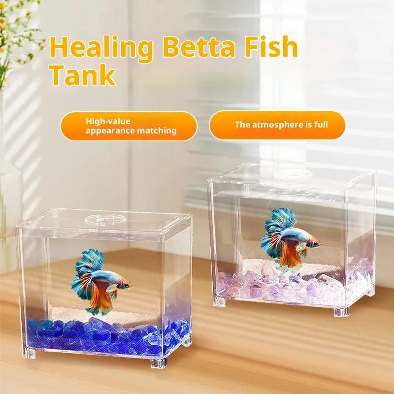 Thickened acrylic fish tank building block, single grid cylinder with blue glass and spotlight, tabletop use, blue colour option.