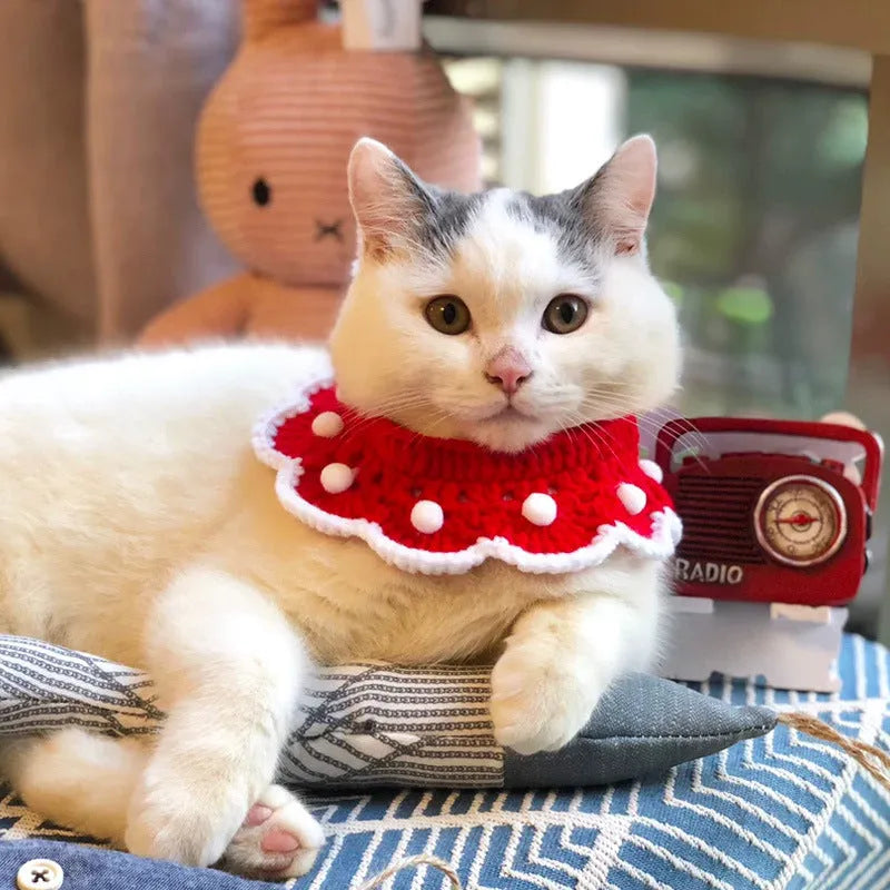 Wool knitted pet collar with cartoon pattern, sizes XS to L for neck 15-35cm, made from milk cotton