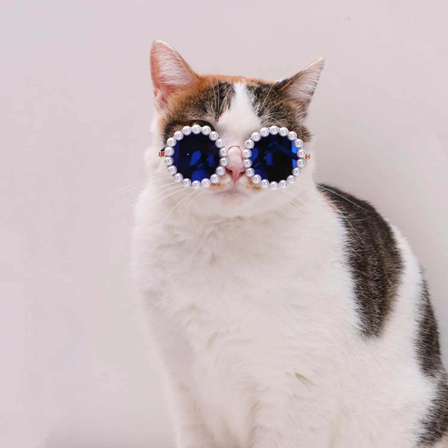 Pearl-rimmed round sunglasses for cats and dogs in black, blue, coffee, orange, and purple.