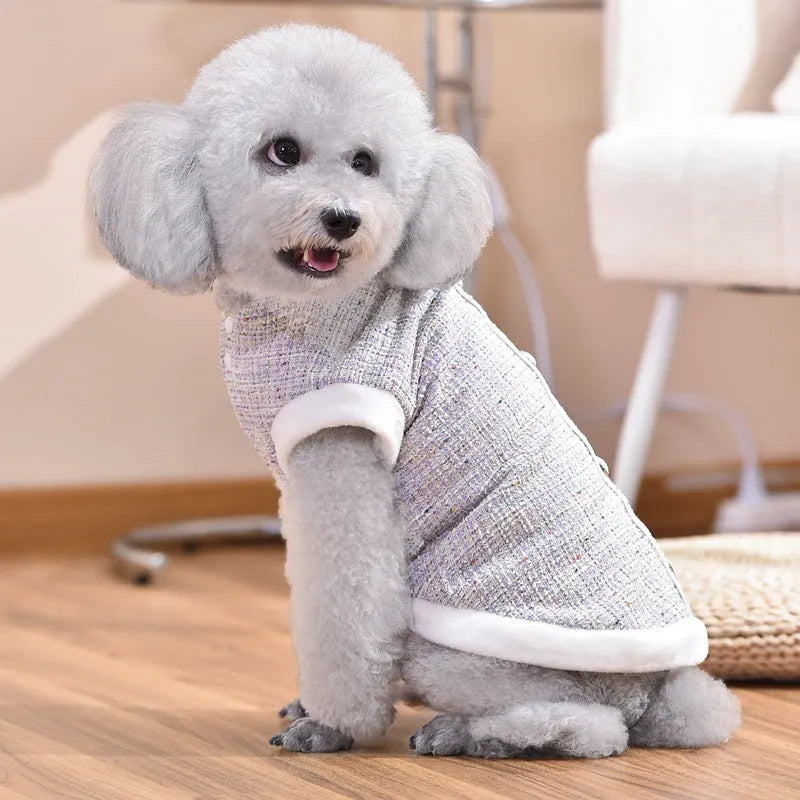 Black PU sausage dog style jacket on a small cat.