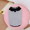 Pet wearing striped cotton T-shirt and skirt set in casual style