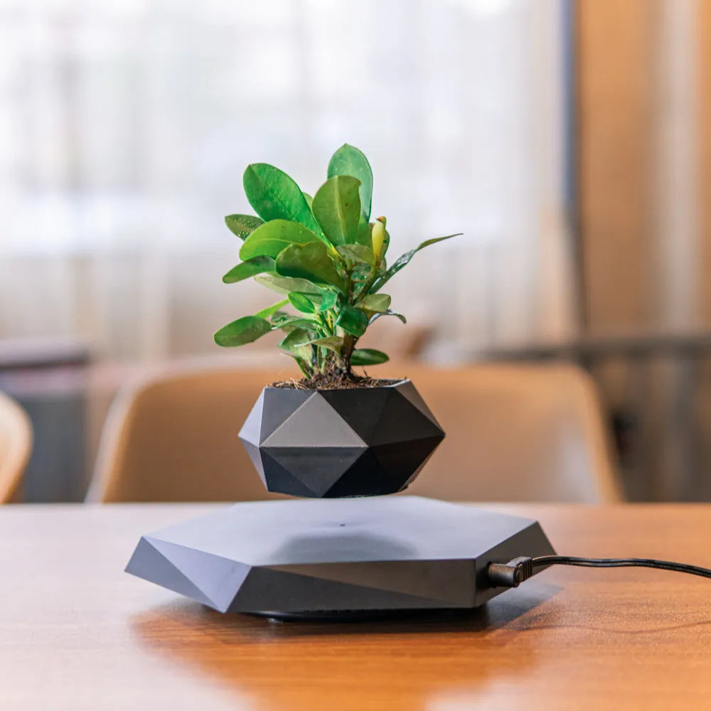 Hexagonal wood grain magnetic levitating plant pot floating above circular base