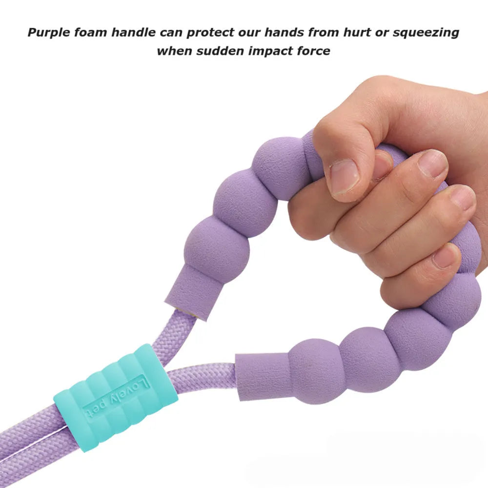 Nylon dog traction leash with foam handle showing black, light purple, sky blue and yellow colour options