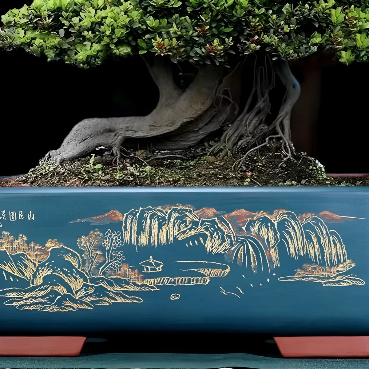 Large rectangular handmade purple clay flower pot in wine red, shown next to a bonsai tree.