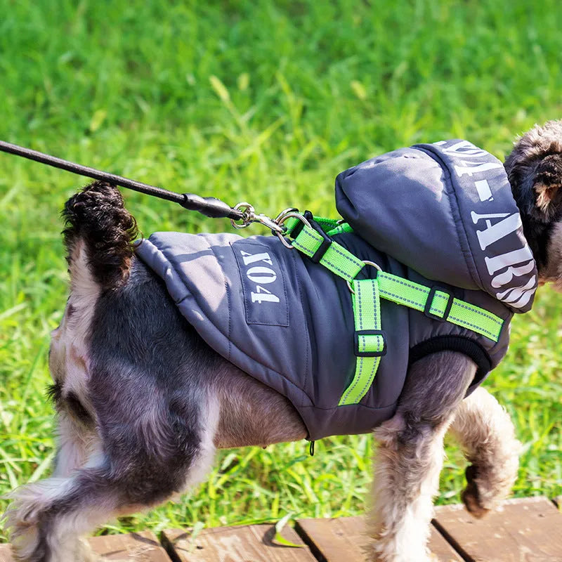 Red fleece-lined waterproof dog winter jacket with hood on medium-sized dog