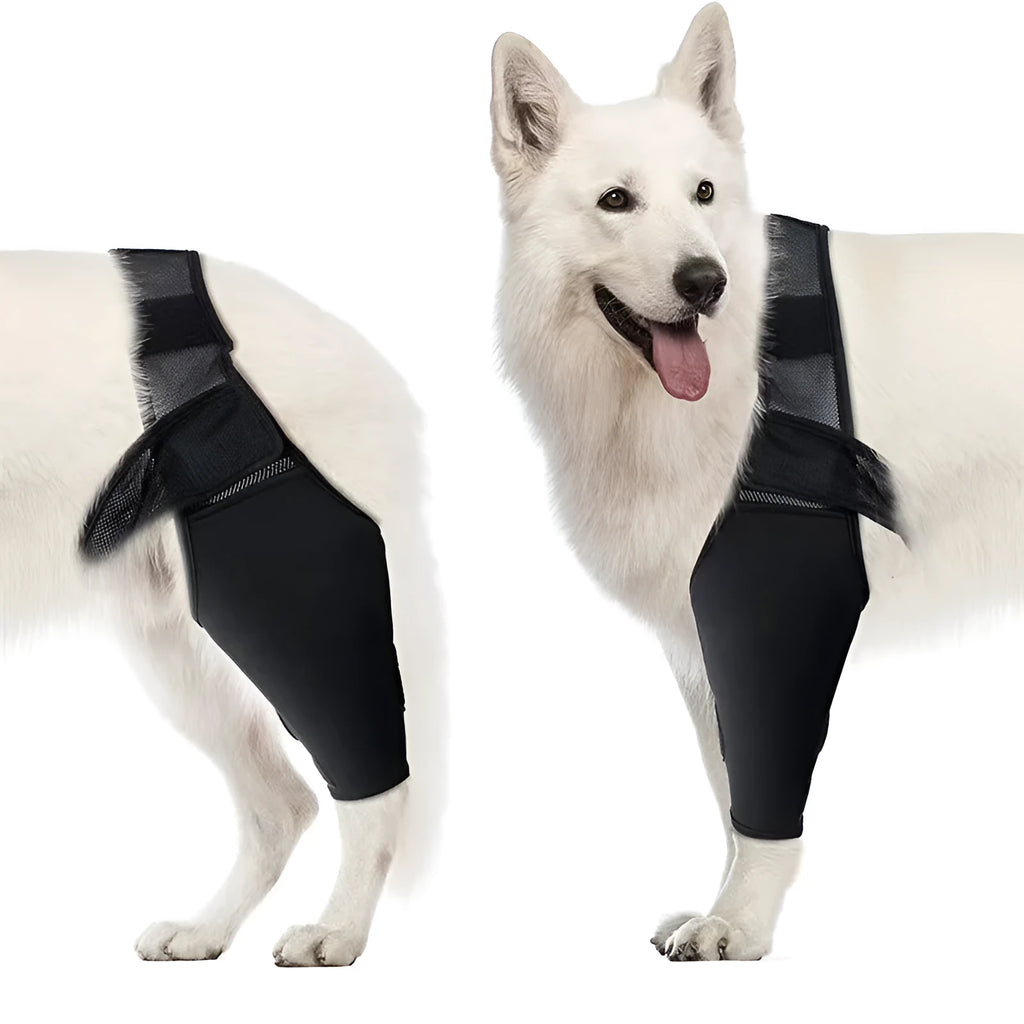 Dog leg support protector in diving cloth and mesh, adjustable Velcro strap, for front and rear legs, sizes XS to XL.