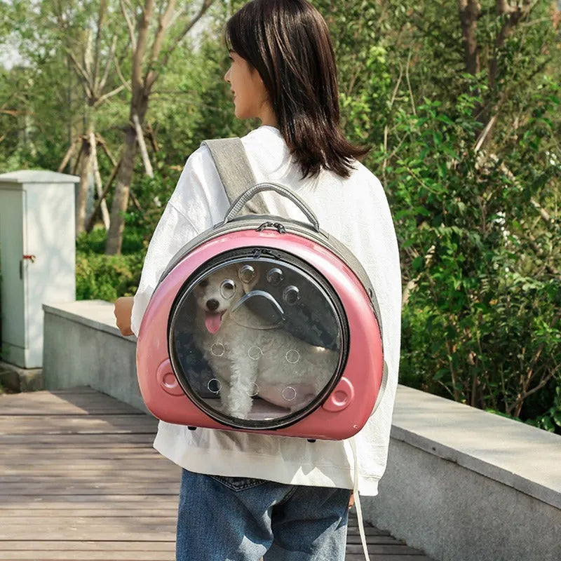 Transparent cat diaper bag with breathable design, 12 Jin capacity, and rose gold front shell cover