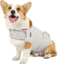 Dog wearing brown separation anxiety tank top made from brocade cotton fabric