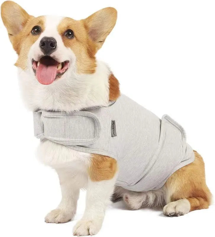 Dog wearing brown separation anxiety tank top made from brocade cotton fabric