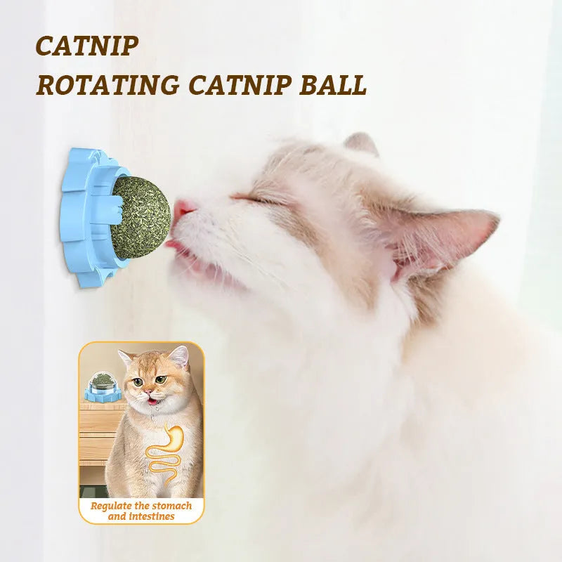 Adhesive catnip molar pet toy in blue, orange, or pink colours with textured surface