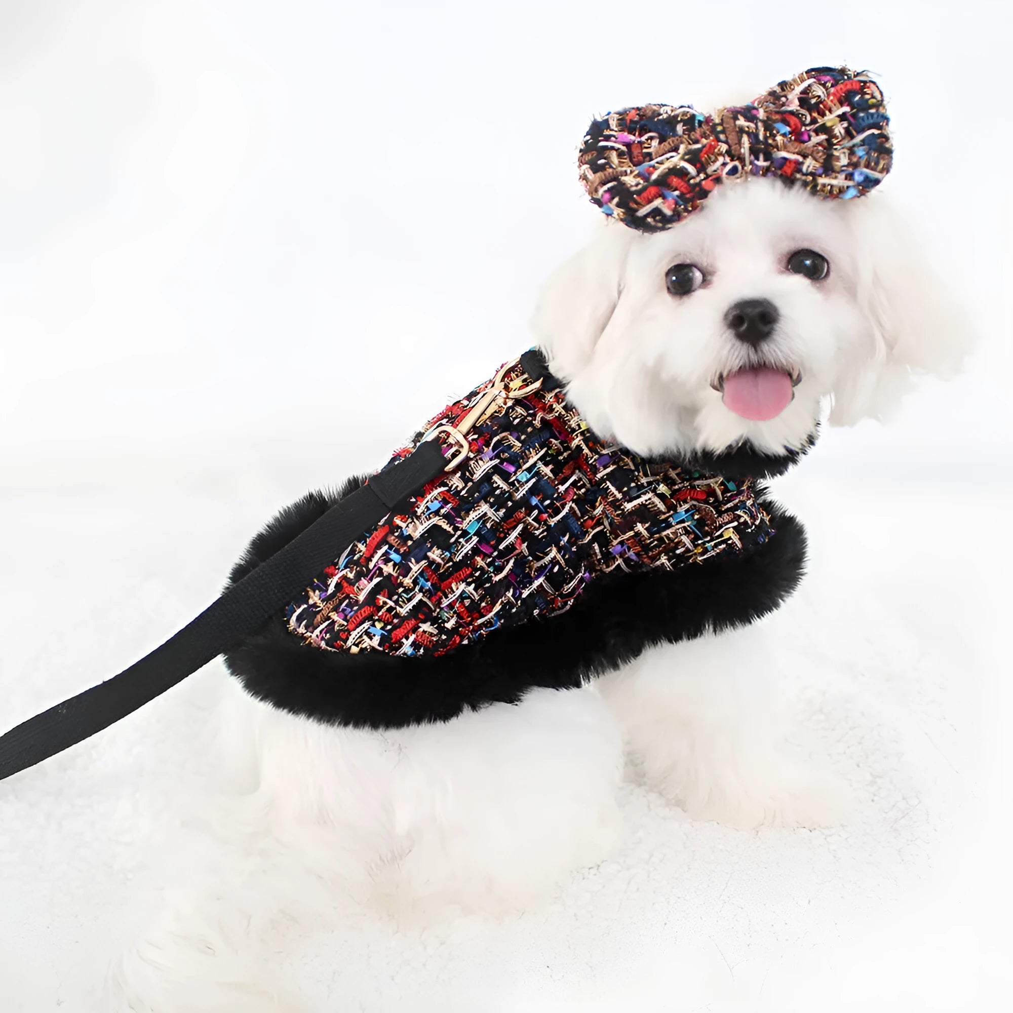 Classic style dog cloak attached to chest strap with integrated hand holding rope in beret, bow, and plain designs