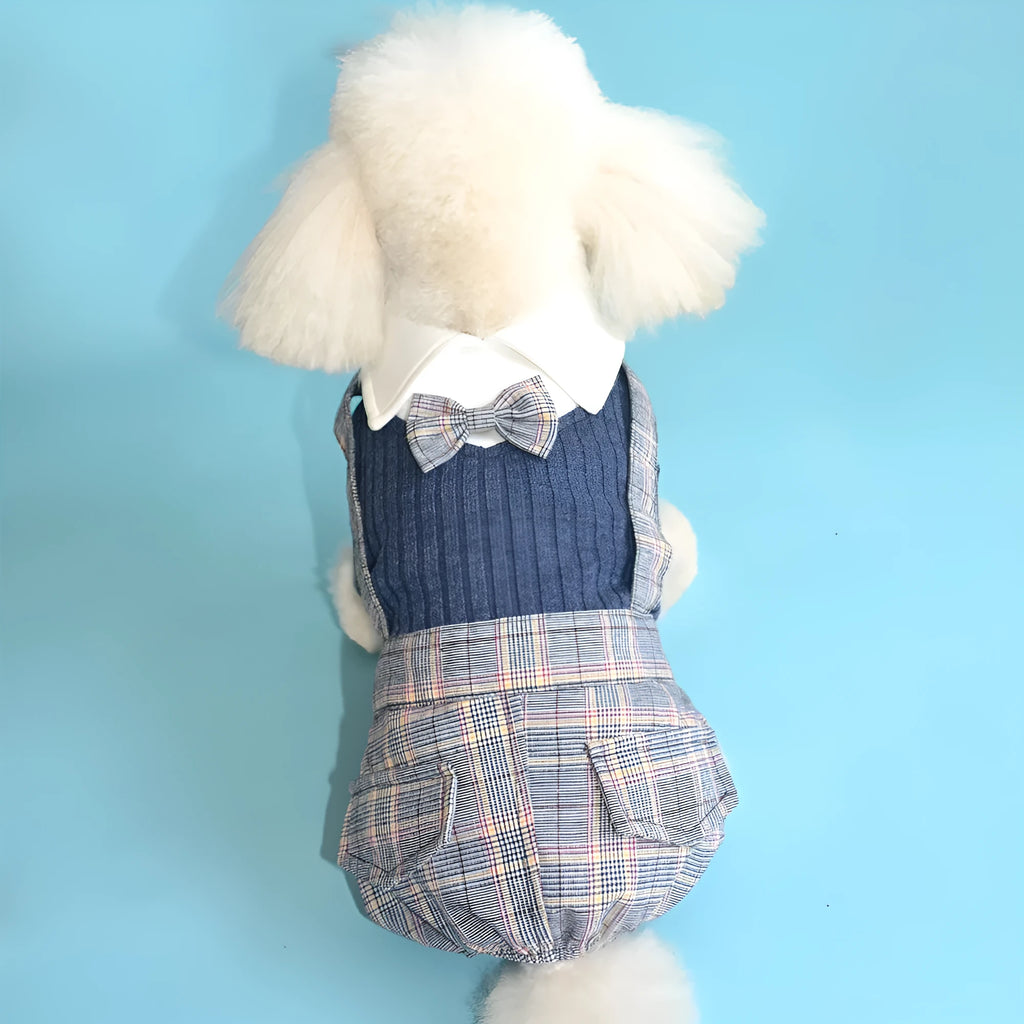 Orange cotton dog suit shirt on small dog with collar visible