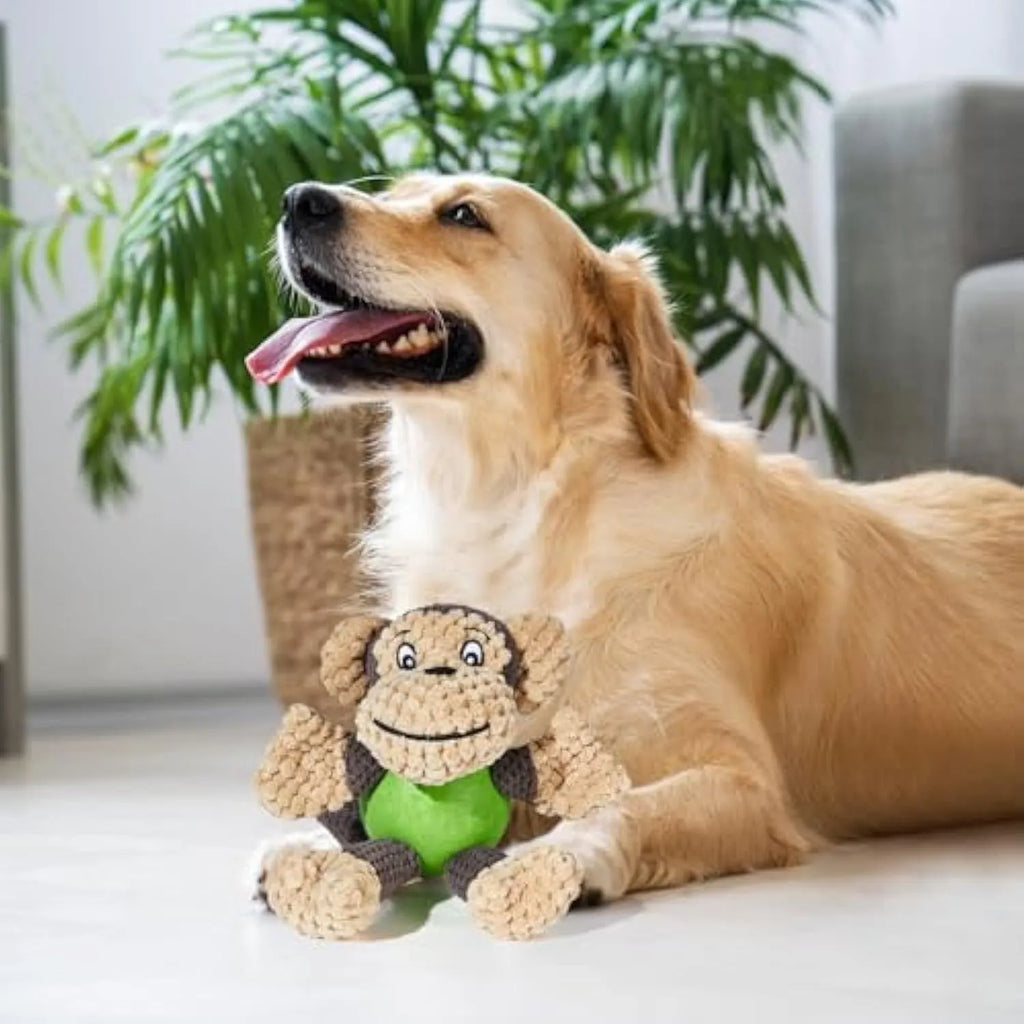 Red and tan plush monkey dog toy with squeaker, shown with a small dog.