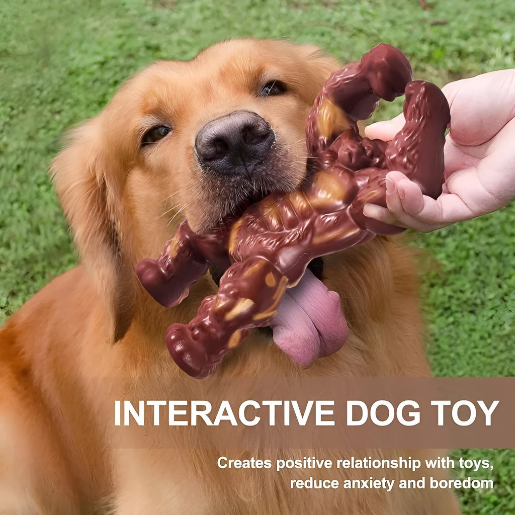 Scarlet red bone-shaped nylon dog chew toy with beef flavour for molar nibbling.