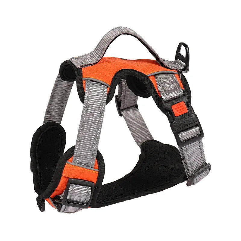 Dog wearing orange polyester chest strap with attached hand holding rope