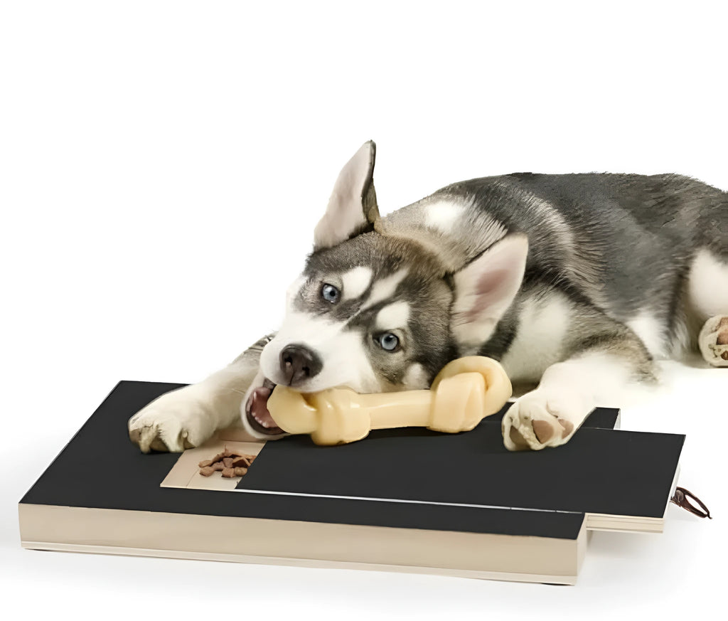 Wooden dog nail scratch board with a treat drawer and non-slip rubber feet on a floor.