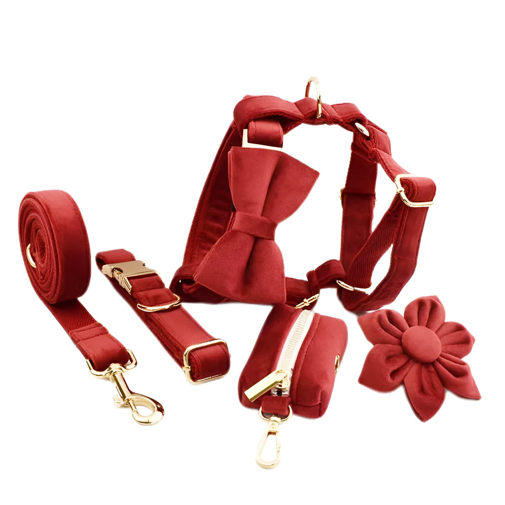 Dog wearing coordinated cloth collar set with bow, vest, and matching leash