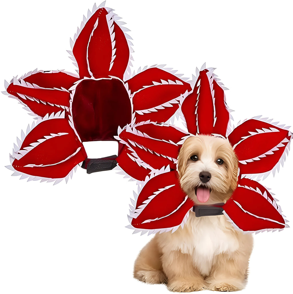 Dog wearing Halloween demon hat costume with headband and flower accessory