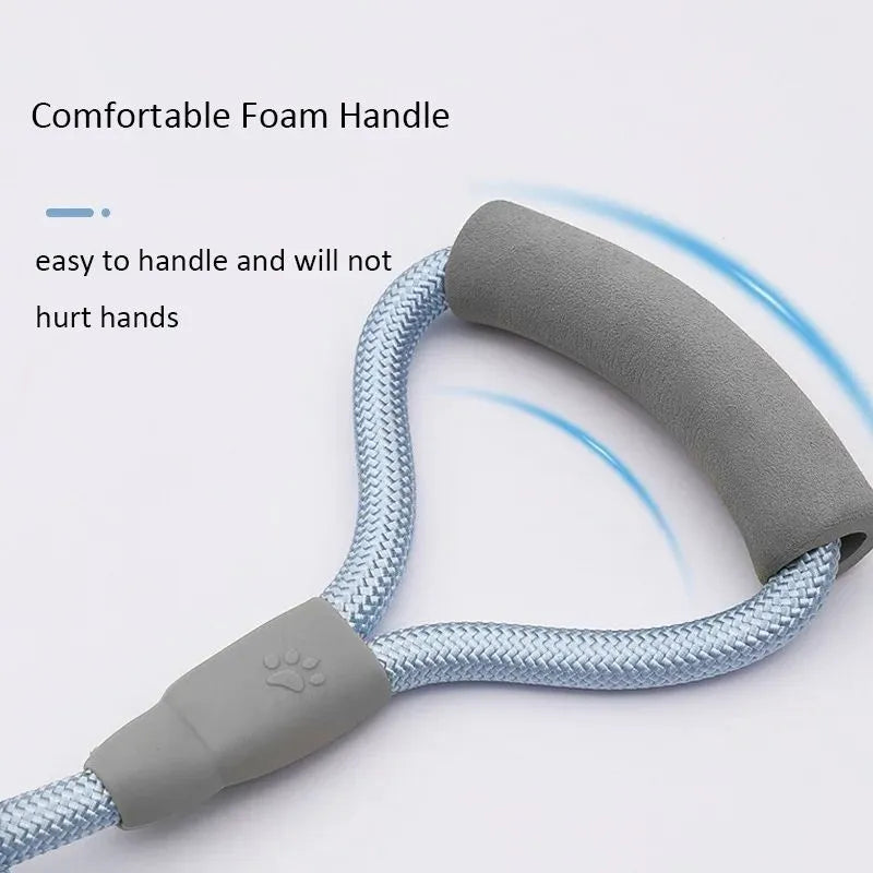 Double-headed dog leash for two small medium dogs with foam handle and metal buckles in multiple colour options
