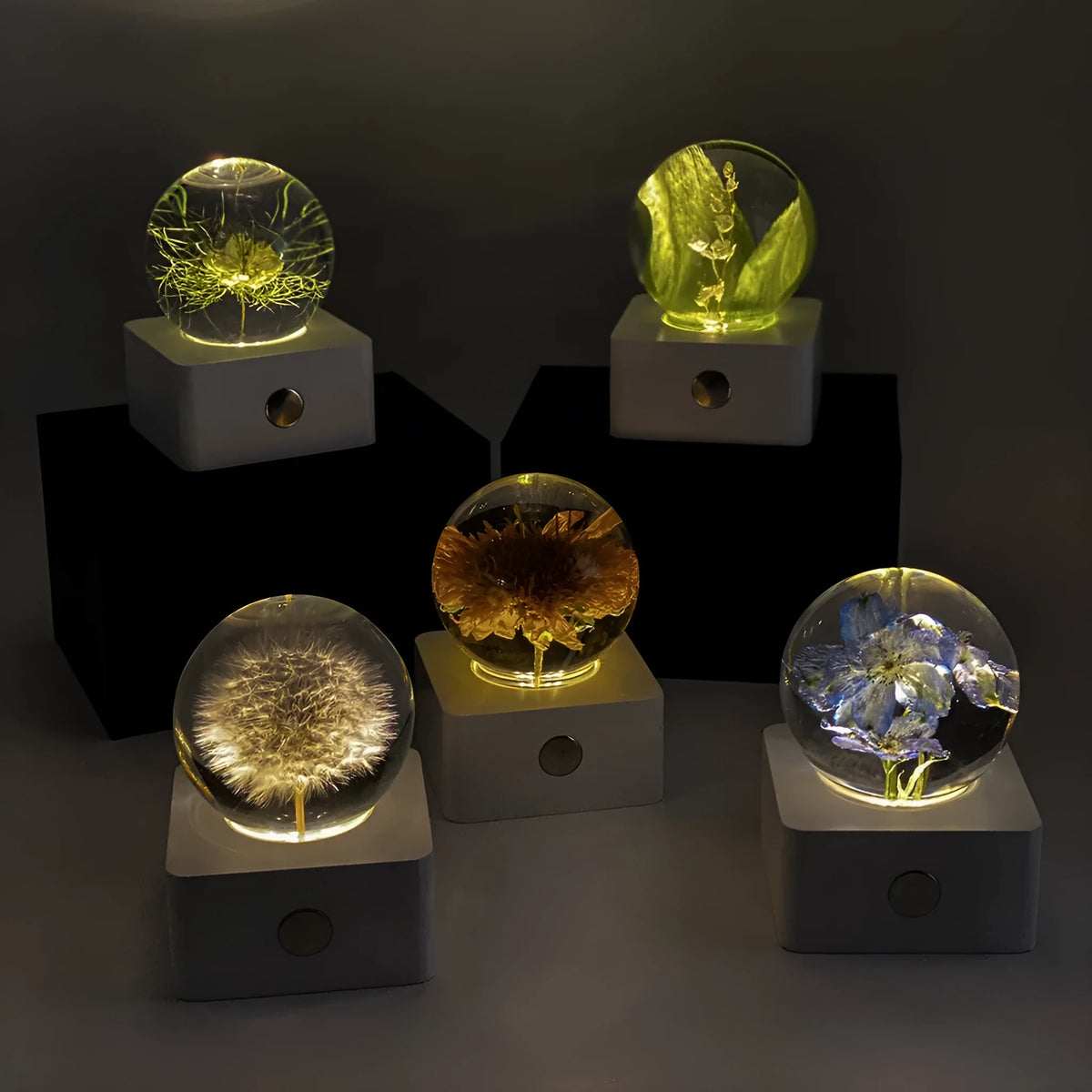 Small 8cm tall desktop night light with a preserved dandelion and sunflower specimen inside.
