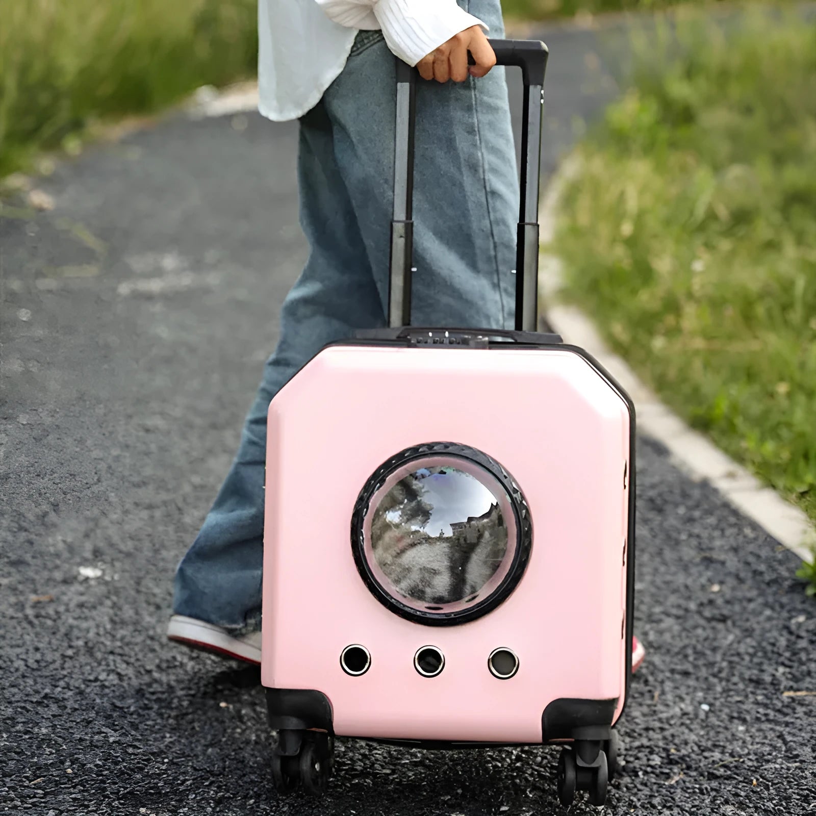 PVC hard-shell cat trolley case pet carrier in solid colour with wheels and handle