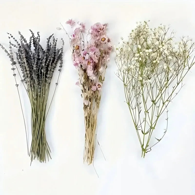 A long dried lavender flower bouquet in a vase, showing white or pink colour options.