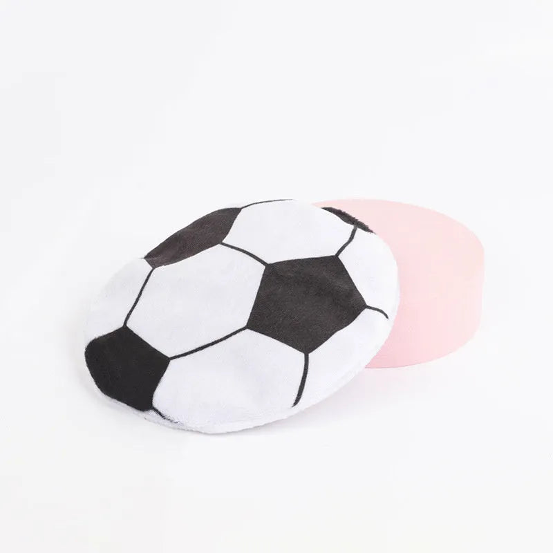 5cm diameter cat toy disc with plush exterior, showing flying disc design for throwing and cat play