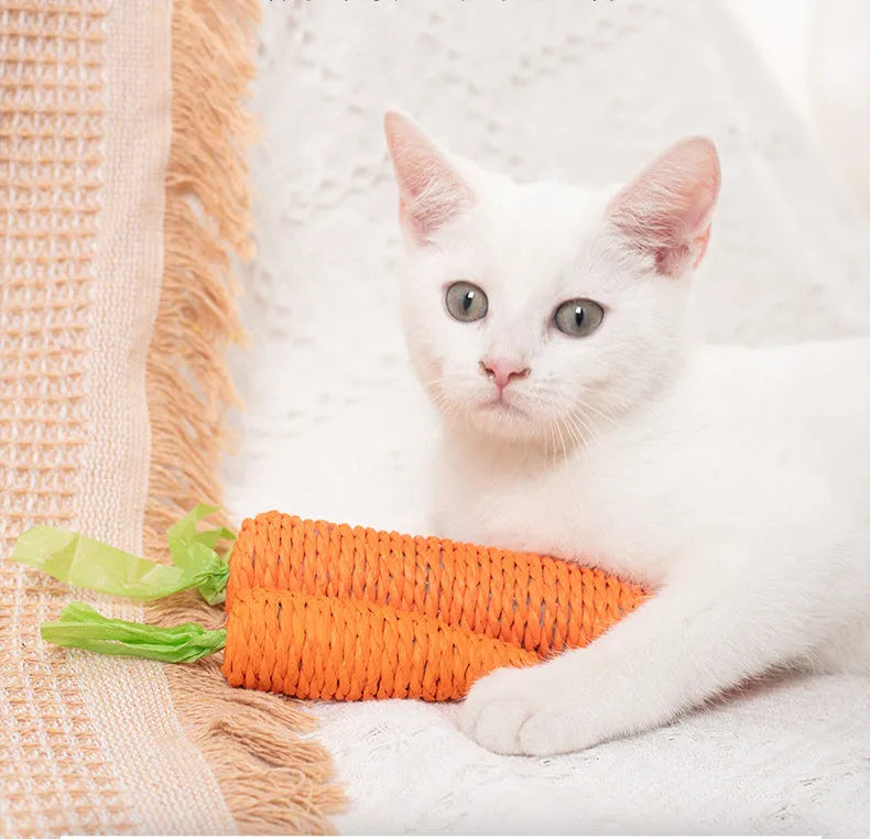 Interactive cat toy set with carrot-shaped toys, crinkle paper, ringing stones, extendable stick, and dental care chewing sticks