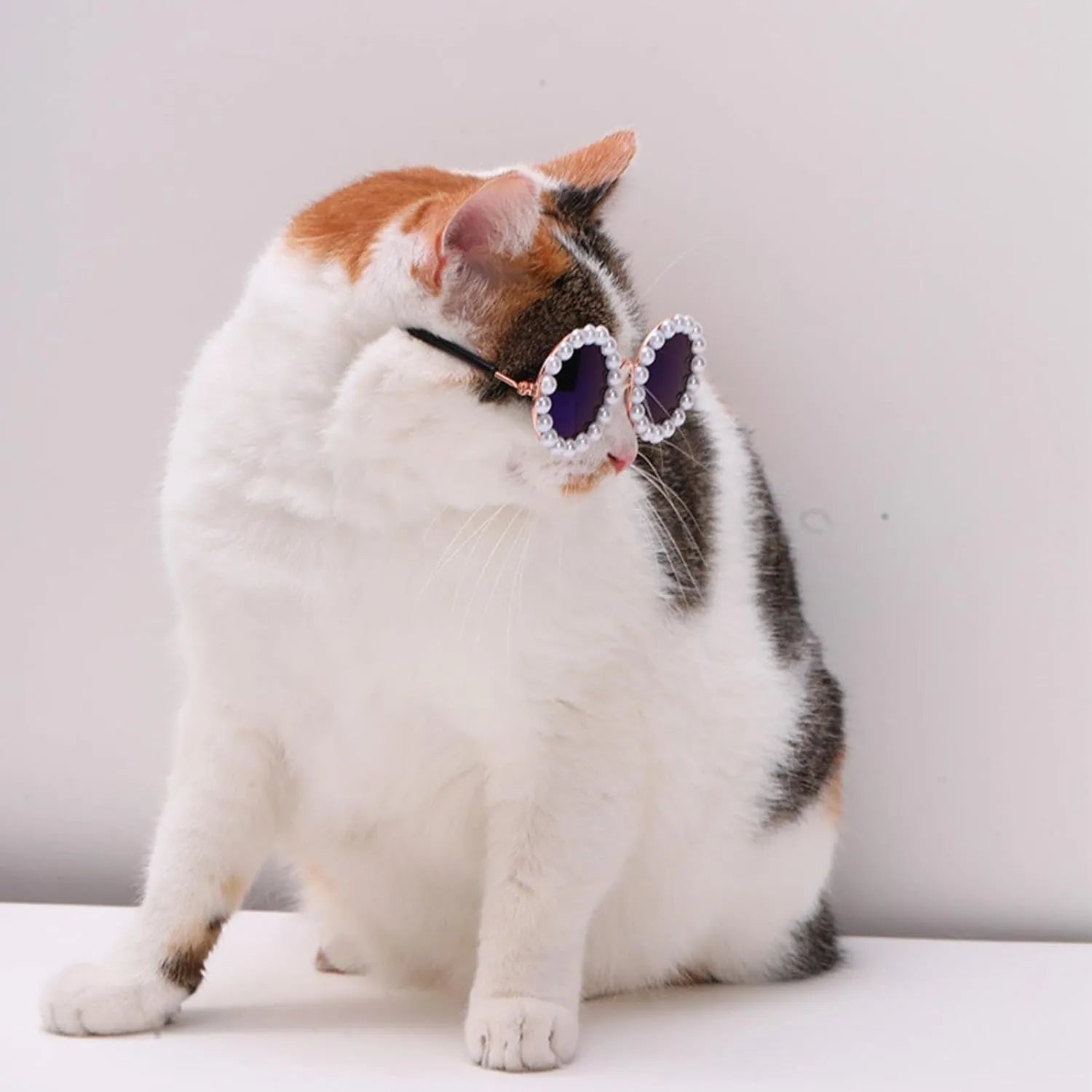 Pearl-rimmed round sunglasses for cats and dogs in black, blue, coffee, orange, and purple.