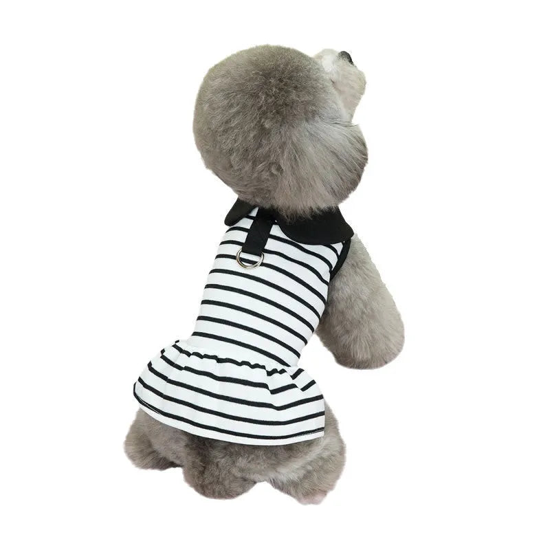Pet wearing striped cotton T-shirt and skirt set in casual style
