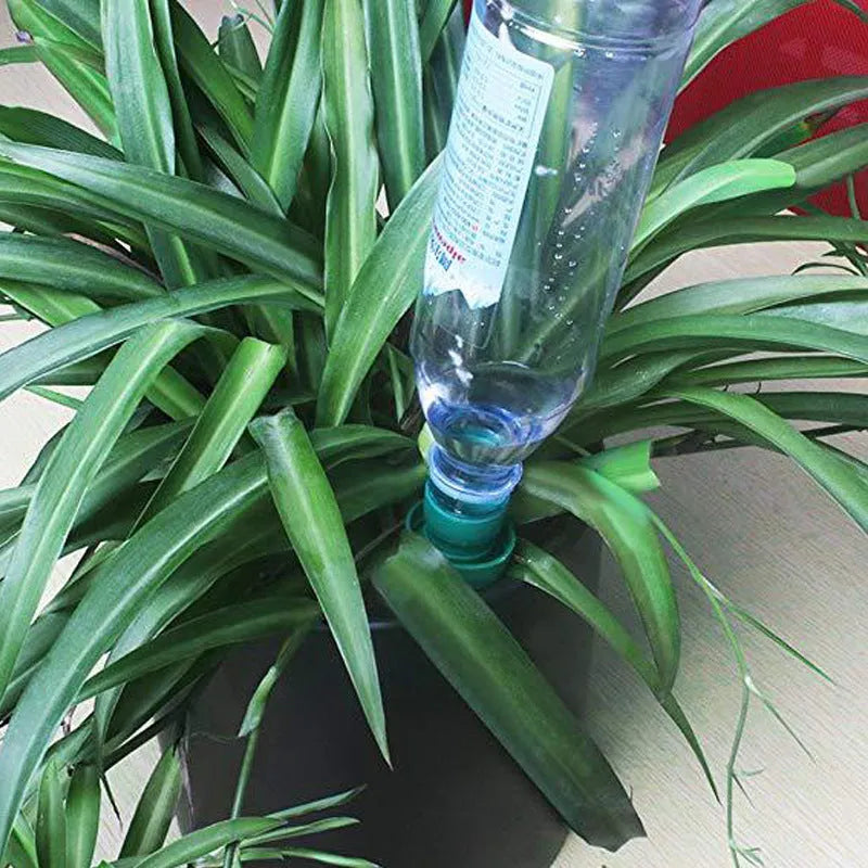 Green ceramic automatic water dripper for plant irrigation attached to a bottle.