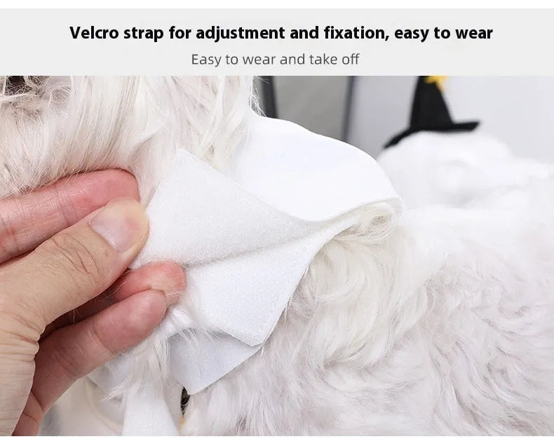 White pumpkin ghost Halloween costume for dogs in three sizes