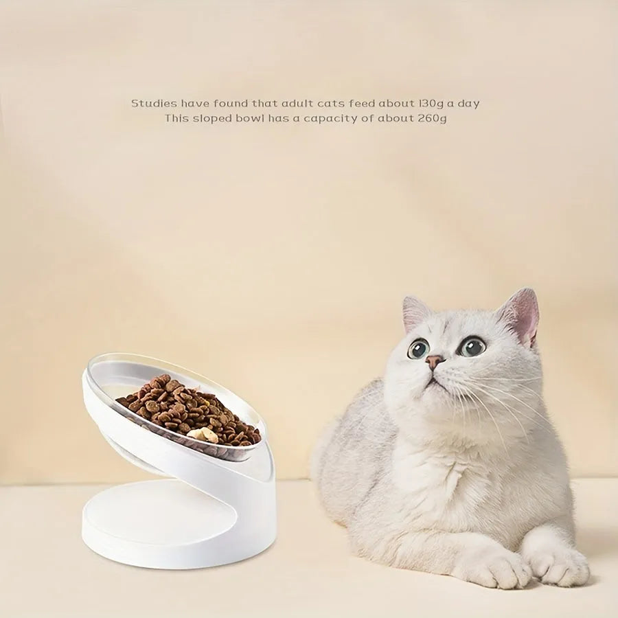 Clear elevated cat food bowl with 15-degree tilt angle on white surface