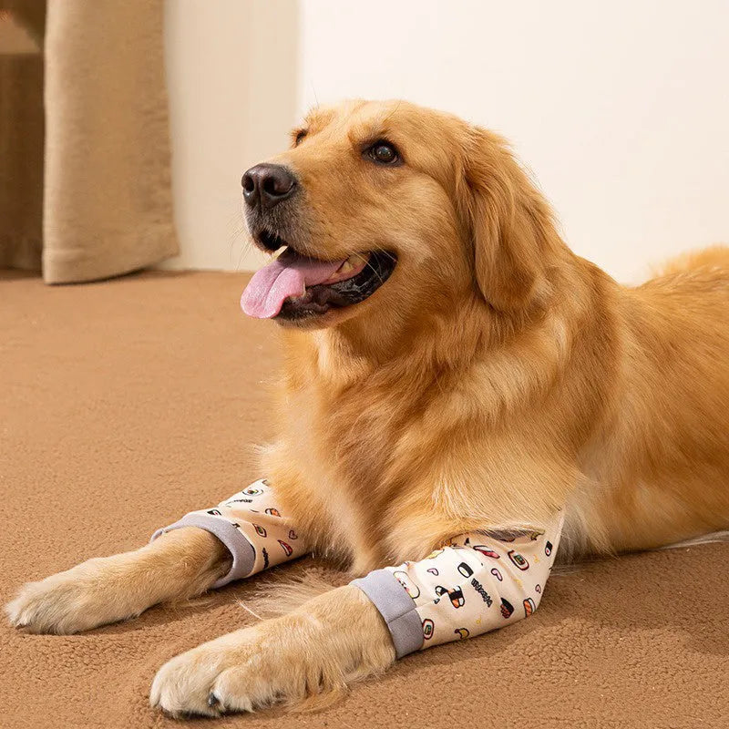 Blue dog knee protector with adjustable buckle and matching scarf on medium-sized dog