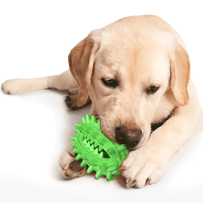 Green cactus-shaped dog toothbrush toy with dental cleaning bumps and central treat channel for medium to large dogs