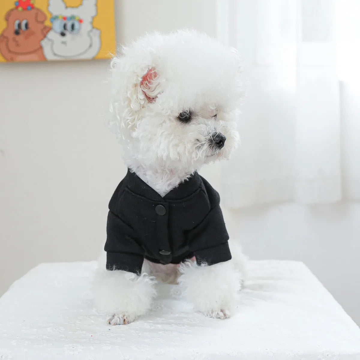 Casual kiss pattern pet sweater for dogs and cats shown in a universal fit design.