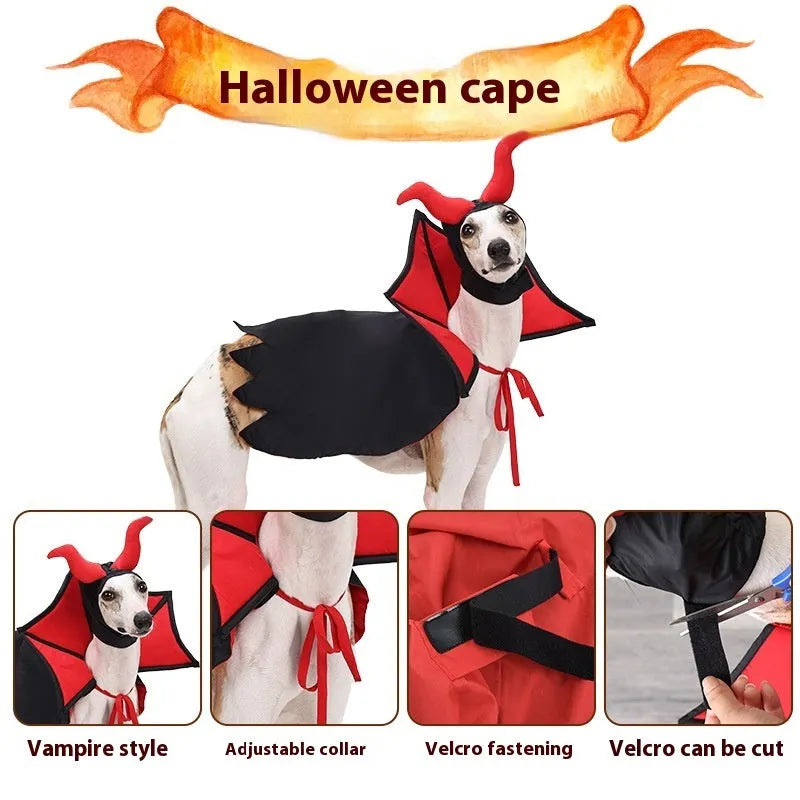 Black polyester vampire cloak and hat Halloween costume for pets on small dog