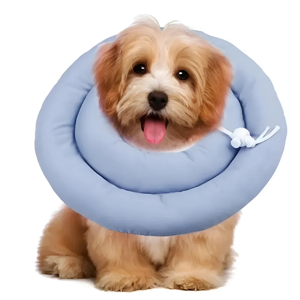 Waterproof Elizabethan collar for dogs and cats in pink, blue, or grey colours