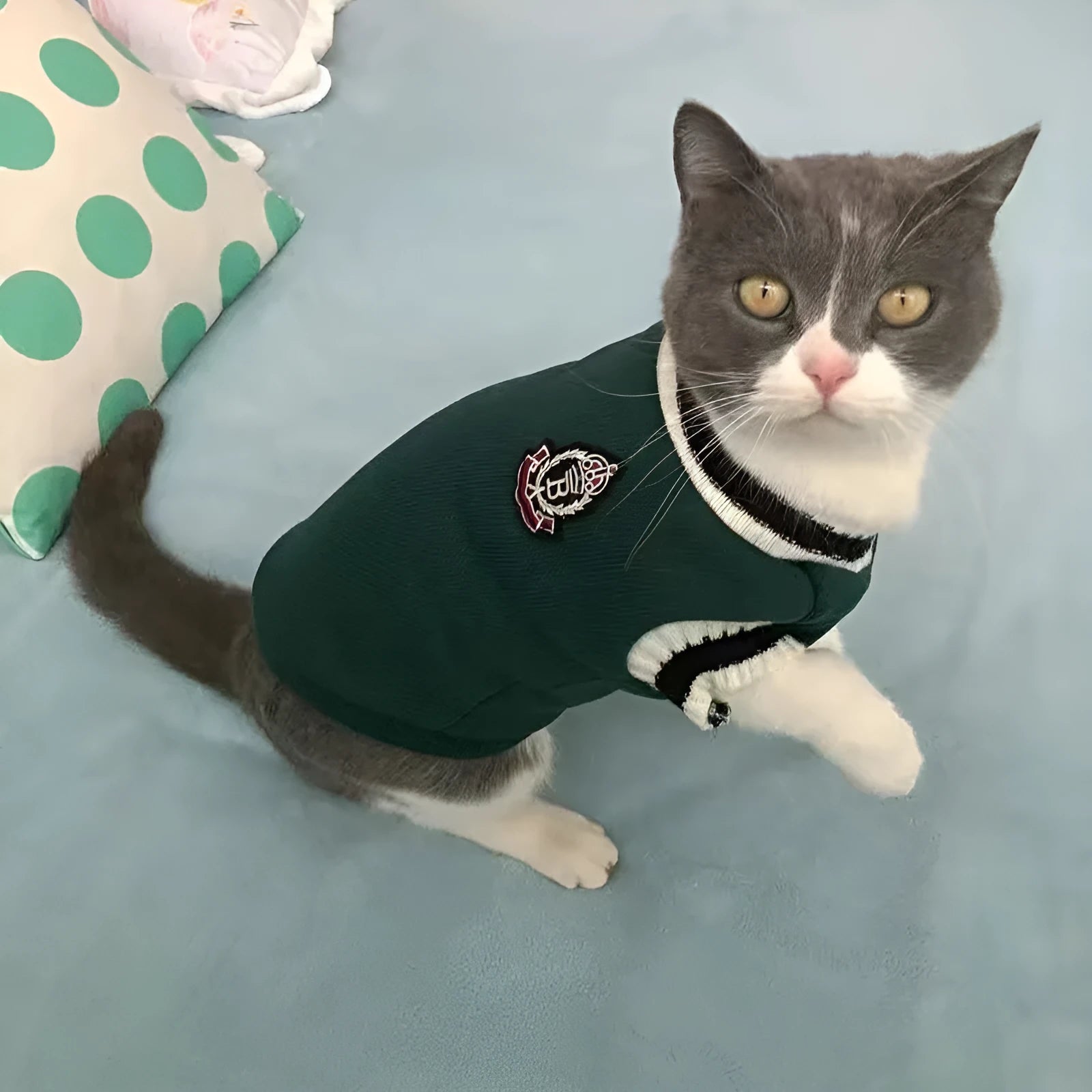 Silver gradual layer college style knitted cat winter sweater in blue duck colour