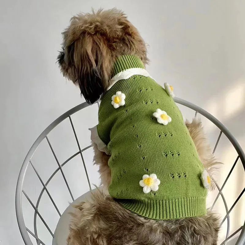 Green floral knitted dog sweater on a small dog, showing size chart for XS, S, M, L, XL.