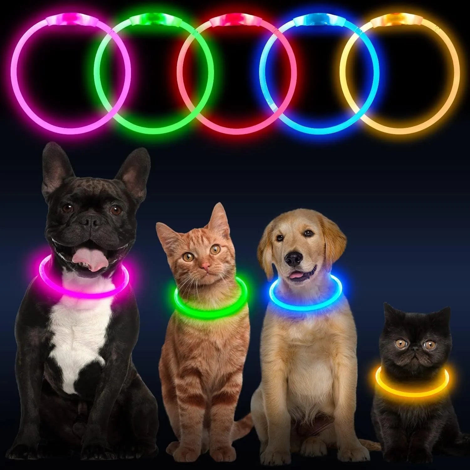 USB-rechargeable LED dog collar glowing in blue with adjustable 70cm length for pet safety
