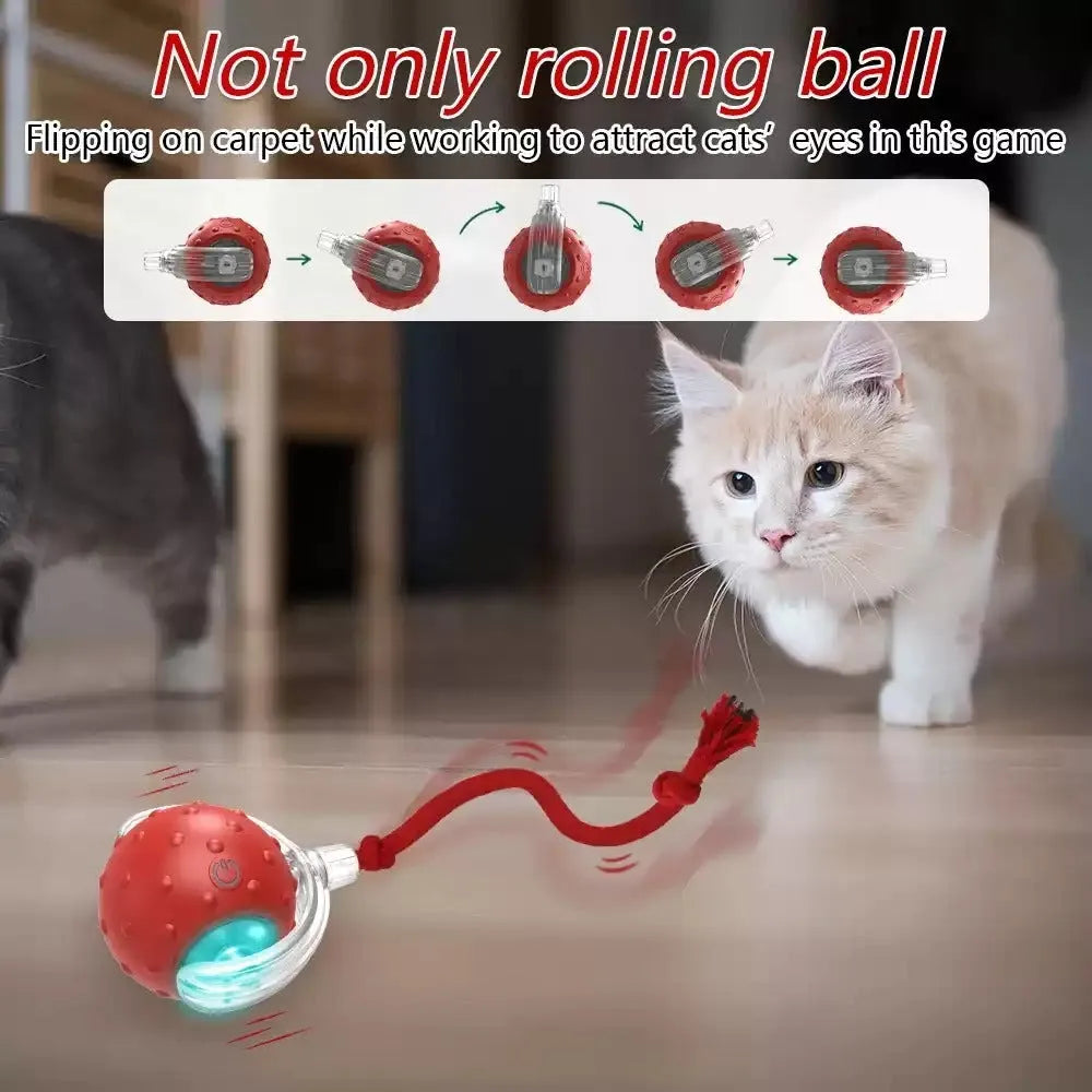 A single bright red plastic interactive cat toy ball designed for rolling and chase play.