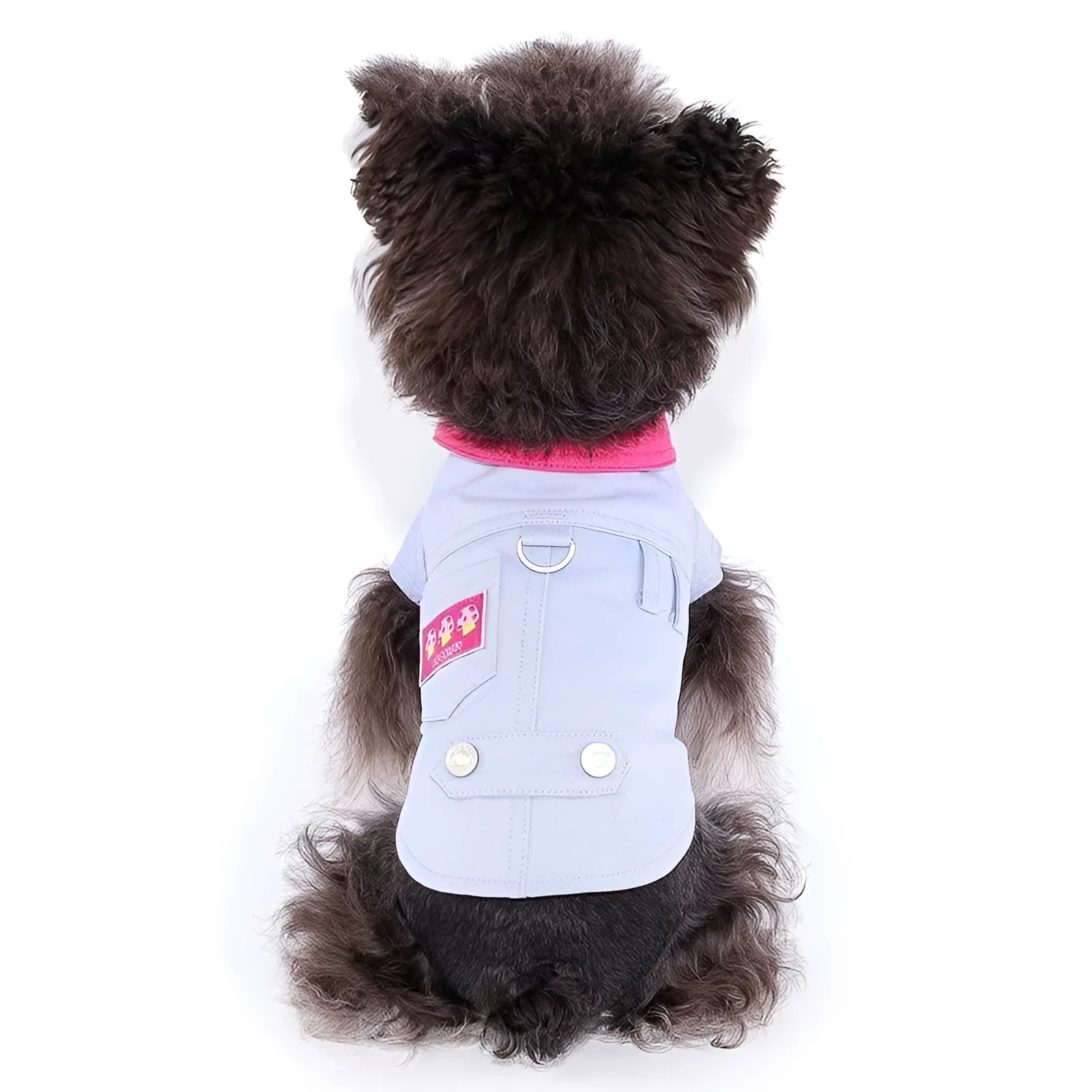 Blue mesh dog vest with a D-ring on the back, sized for a small dog.