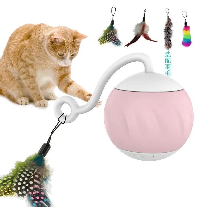 Electric luminous cat toy ball in watermelon or pumpkin design for indoor feline play